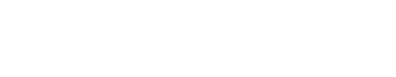 بينبريدج للاستشارات